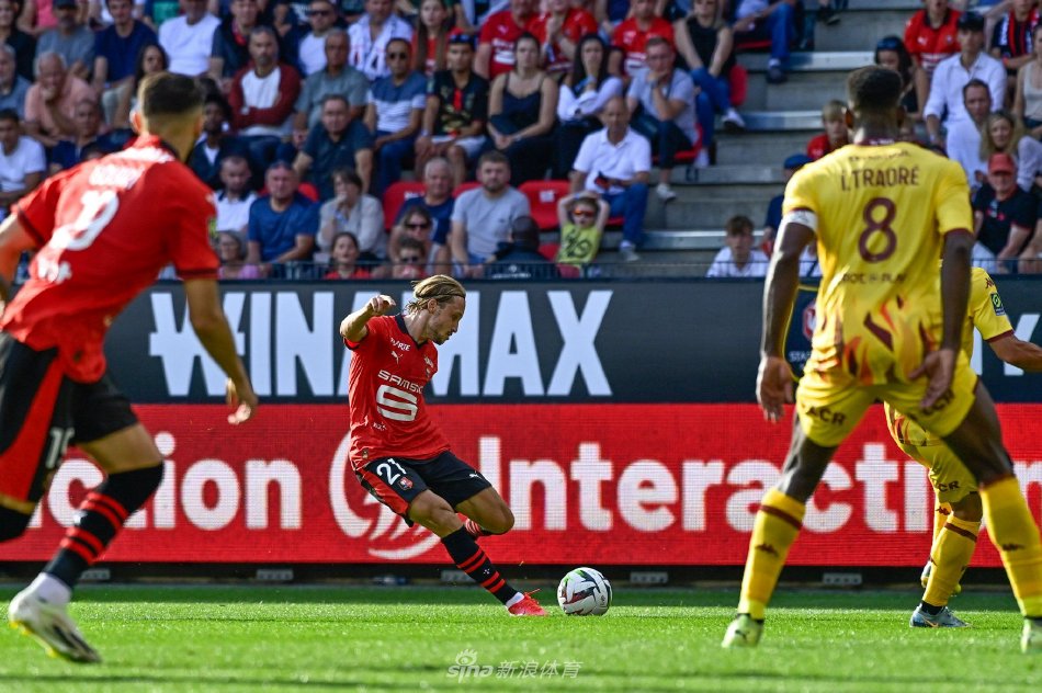 他们不仅在 他们不仅在